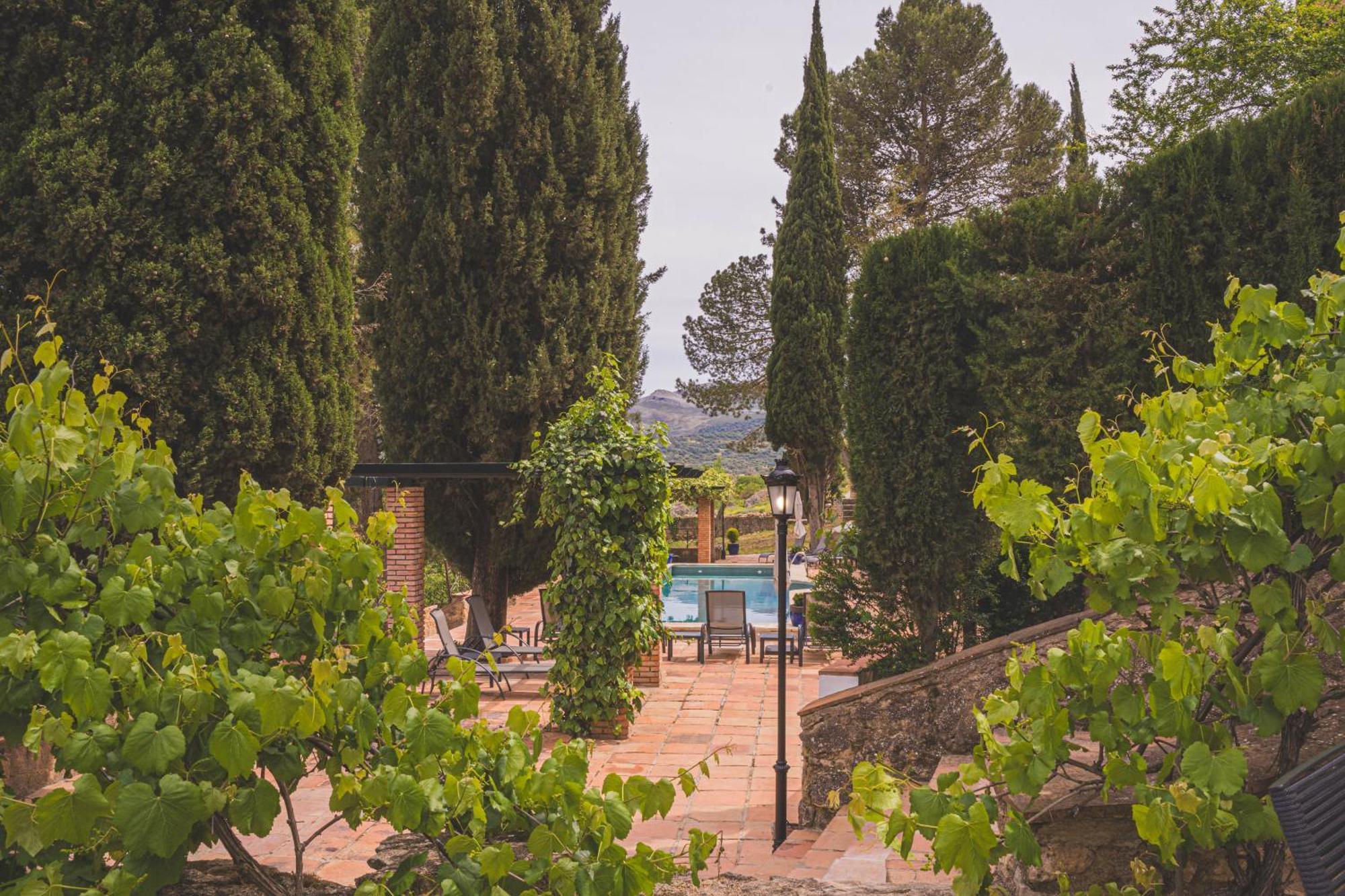 Boutique Palacio De La Duquesa 3*
